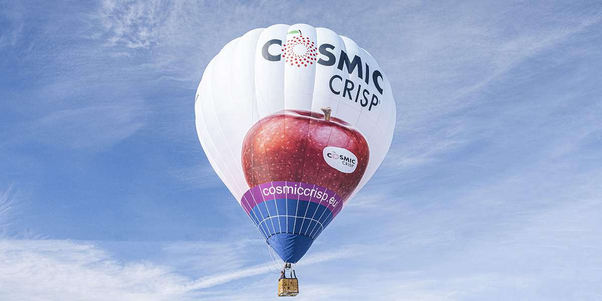 Cosmic Crisp® torna a far volare la categoria delle mele